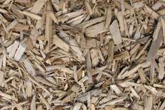 biomass boilers Freuchie